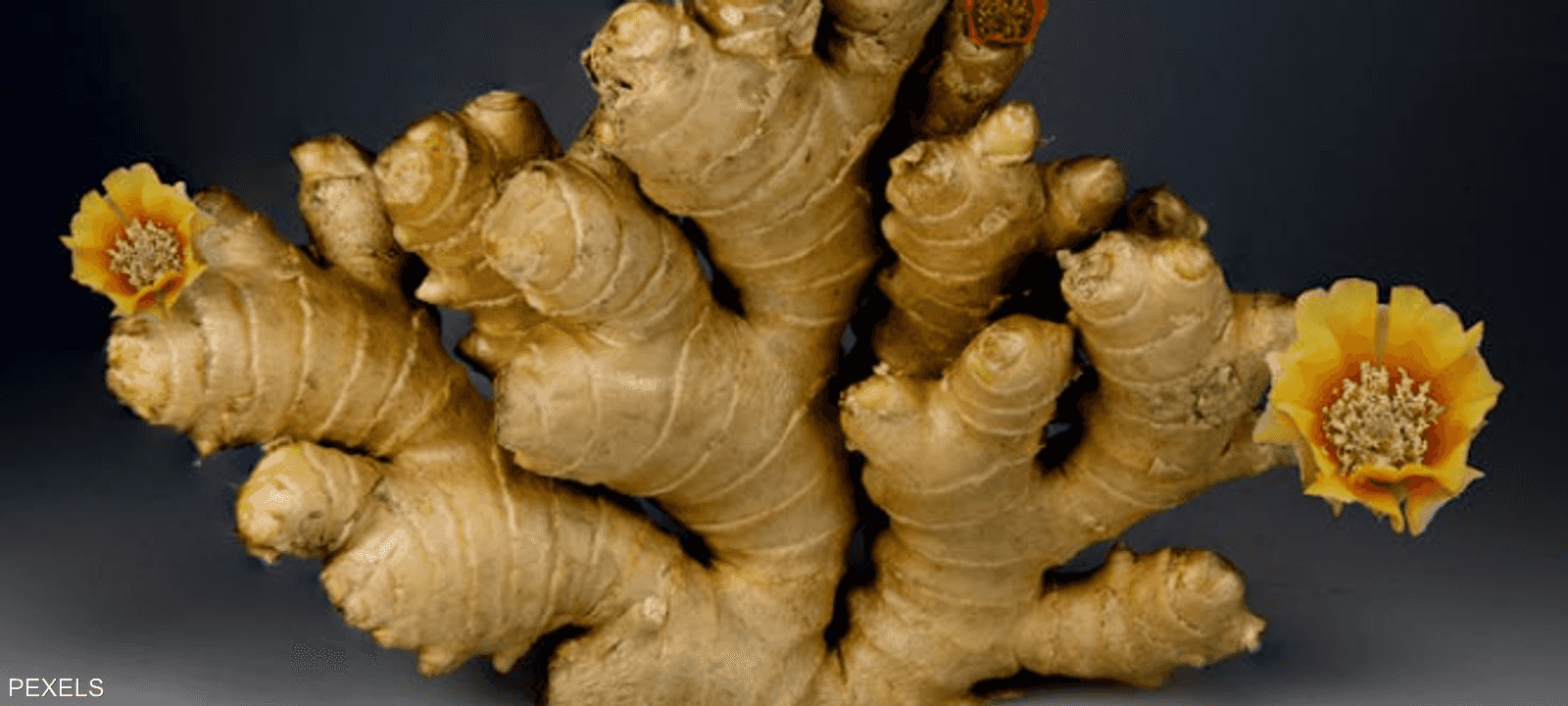 يُعتقد أن الزنجبيل يساهم في تقليل الالتهابات المزمنة