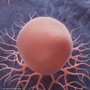 اكتشافات طبية تبشر باختفاء "شبح مرض السرطان" نهائيا