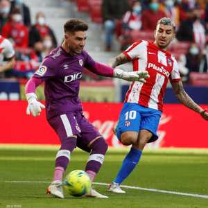 مدرب الجزائر قال إن لوكا بمقدوره أن يقدم الإضافة