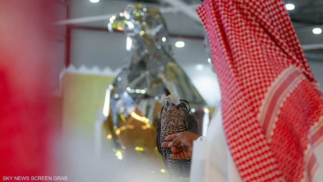 انطلاق معرض الصقور والصيد السعودي الدولي 2025 بمشاركة واسعة