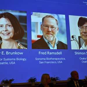 يمكن أن تمنح الجائزة لفائز واحد أو 3 كحد أقصى