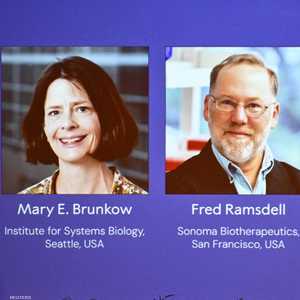 ساهمت أبحاث العلماء في فهم آليات التوازن المناعي في الجسم