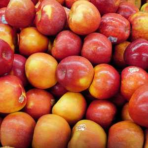 إدراج التفاح ضمن الروتين الليلي قبل النوم مفتاحا لنوم أعمق