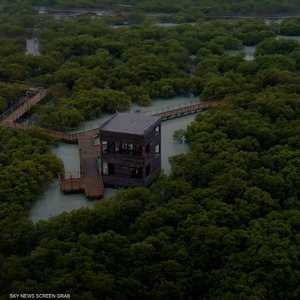 الإمارات في قلب الجهود البيئية الدولية