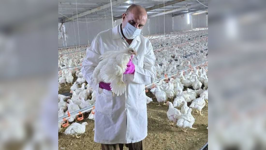 العراق يبلغ عن تفشي السلالة "إتش5إن1" من إنفلونزا الطيور