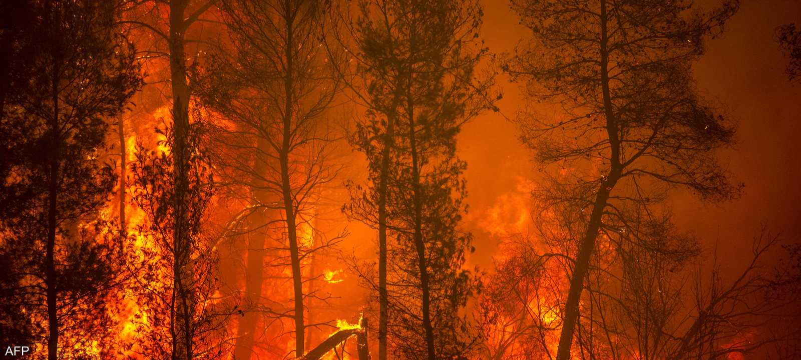 حرائق الغابات تزيد انبعاثات الغازات الدفيئة