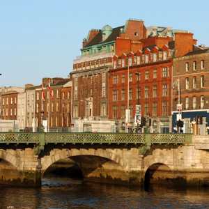 السيناتور كيوغان: ندعو للتحقيق في نفوذ جماعة الإخوان