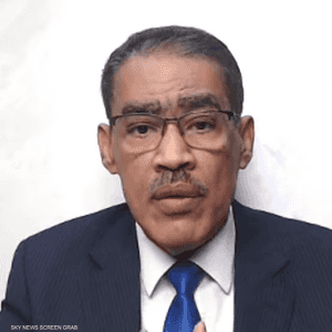 ضياء رشوان، رئيس الهيئة العامة للاستعلامات المصرية