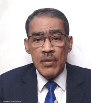 ضياء رشوان، رئيس الهيئة العامة للاستعلامات المصرية