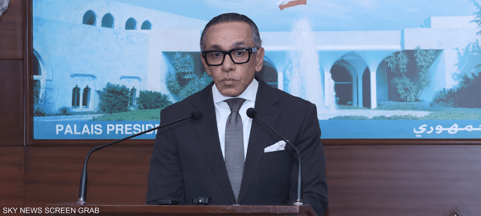 السفير المصري علاء موسى