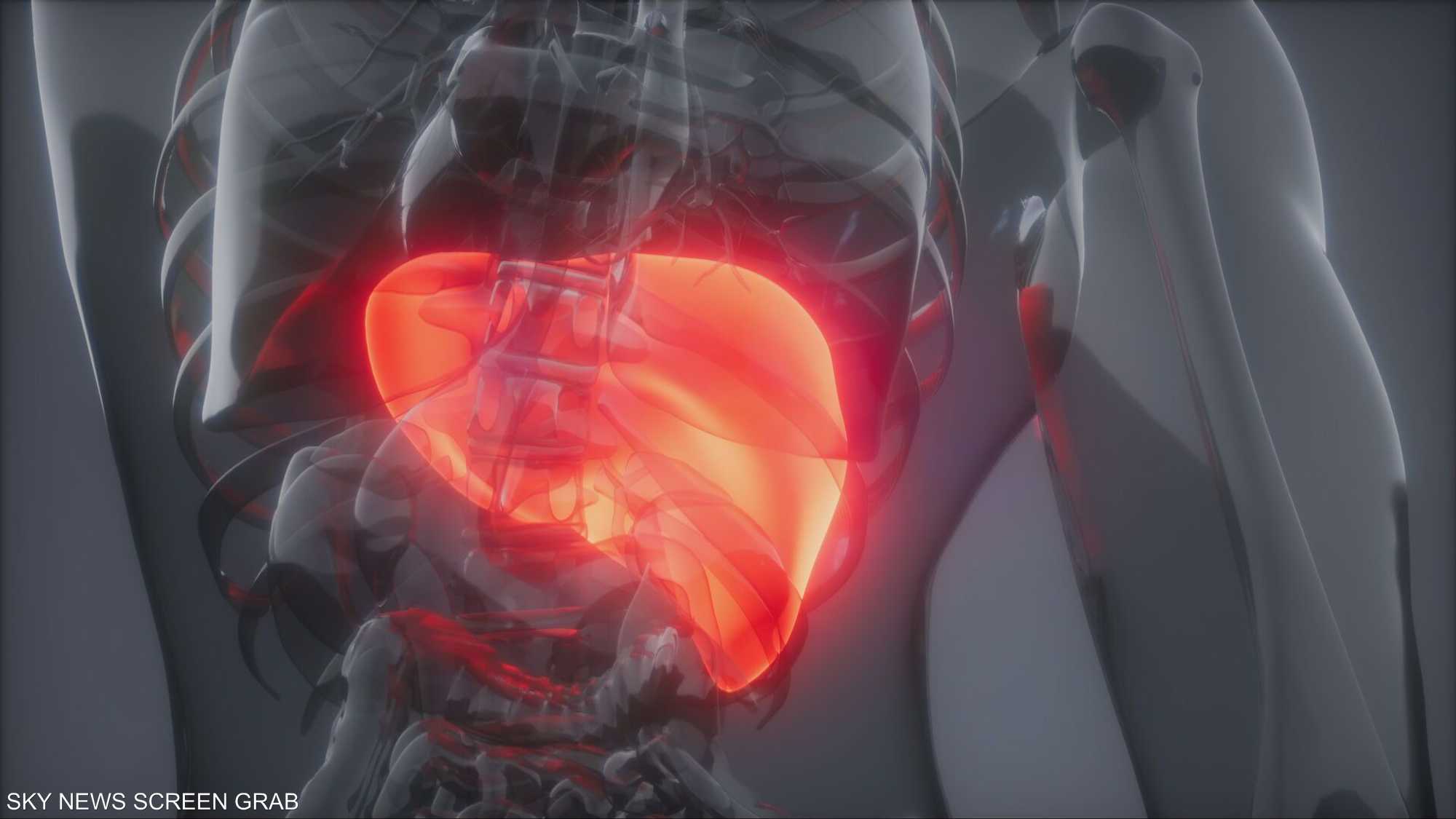 طعامك ليس مجرد وجبة… إنه رسالة مباشرة إلى كبدك