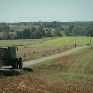 فول الصويا الأميركي