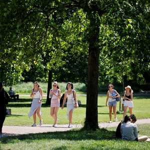 المشي بين المناظر الطبيعية يقلل التوتر لدى الإنسان