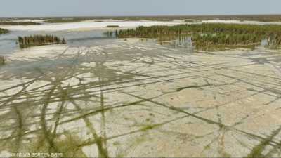 جفاف غير مسبوق في العراق.. ومشاهد صادمة من نهر دجلة