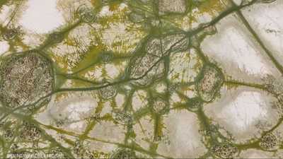 اتفاق بين أنقرة وبغداد حول سبل رفع حصة العراق من المياه