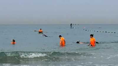 عملية البحث عن الهاتف مستمرة حتى في البحر