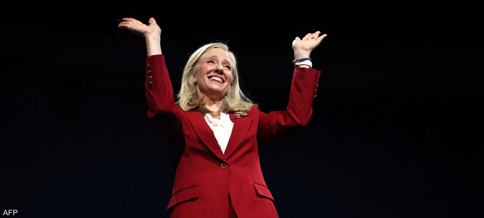 الديمقراطية أبيغيل سبانبرغر