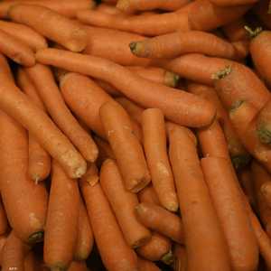 لتناول الجزر بانتظام فائدة كبيرة على الجسم