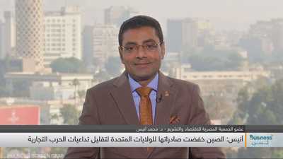 عضو الجمعية المصرية للاقتصاد والتشريع - الدكتور محمد أنيس