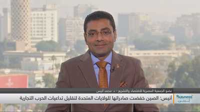 عضو الجمعية المصرية للاقتصاد والتشريع - الدكتور محمد أنيس