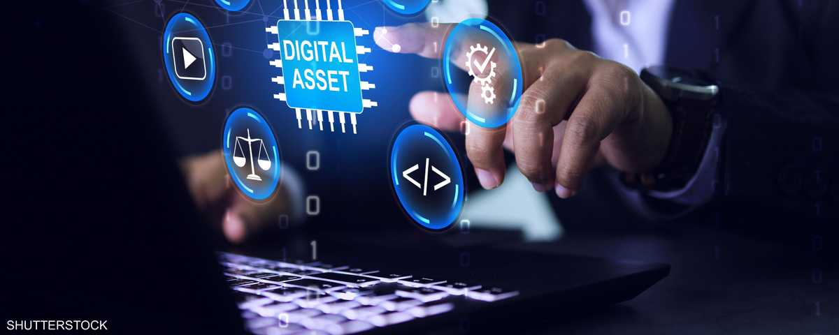 الأصول الرقمية