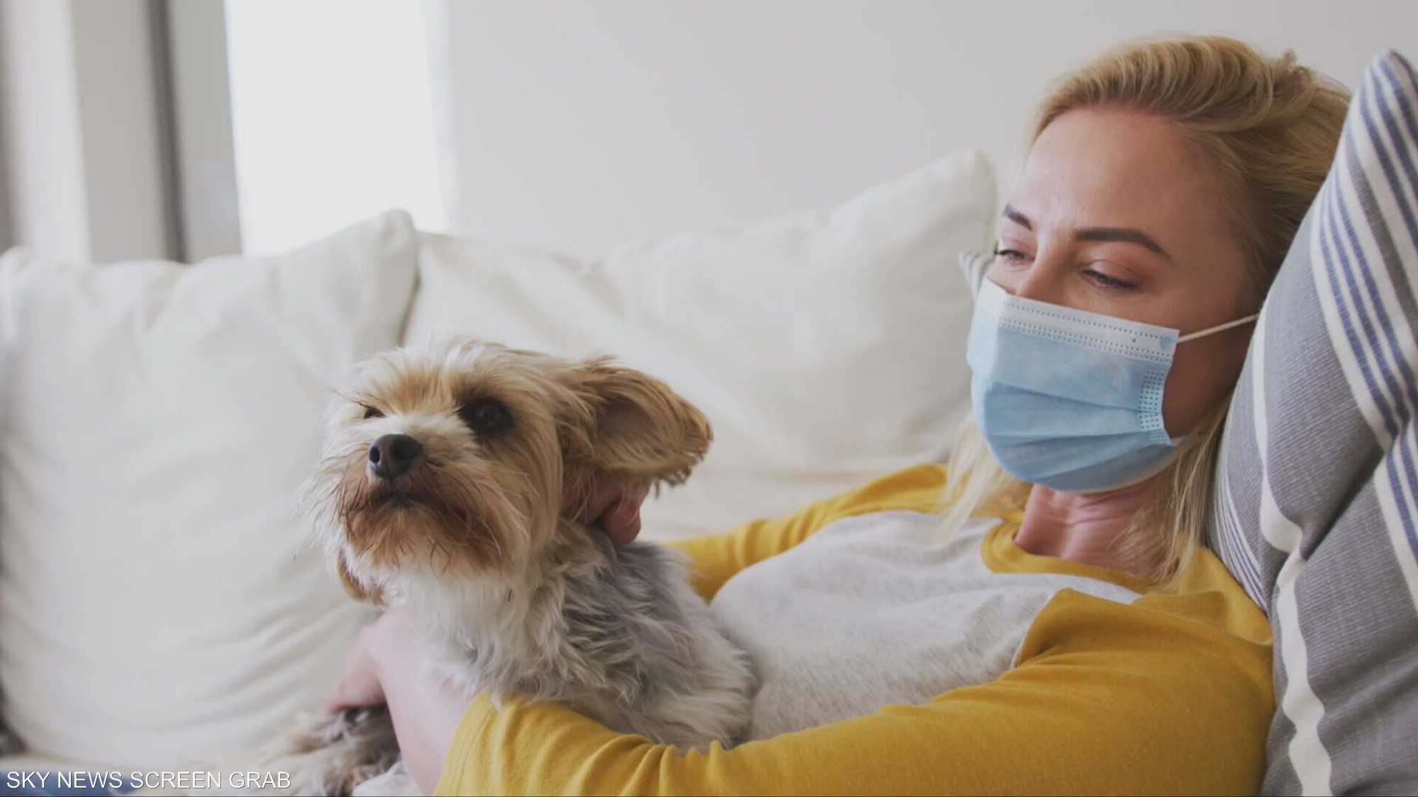 الأمراض المشتركة بين البشر والحيوانات.. الأسباب والوقاية