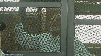 قرار ترامب بشأن الإخوان يعزز الموقف المصري تجاه التنظيم