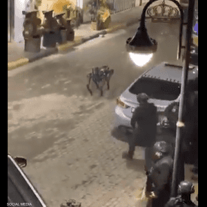 يساعد الروبوت الأجهزة الأمنية في تنفيذ مهام ميدانية معقدة