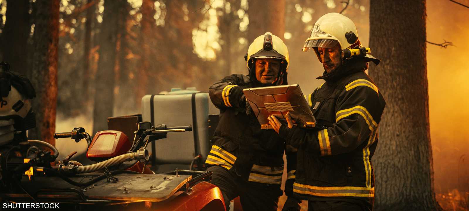 الذكاء الاصطناعي وحرائق الغابات