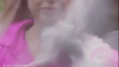 فيديو.. طائر يصطدم بوجه مراسلة تلفزيونية على الهواء