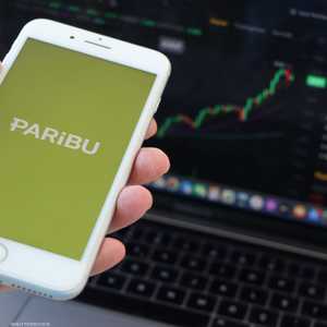 باريبو التركية