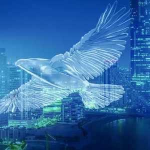 أسبوع أبوظبي المالي