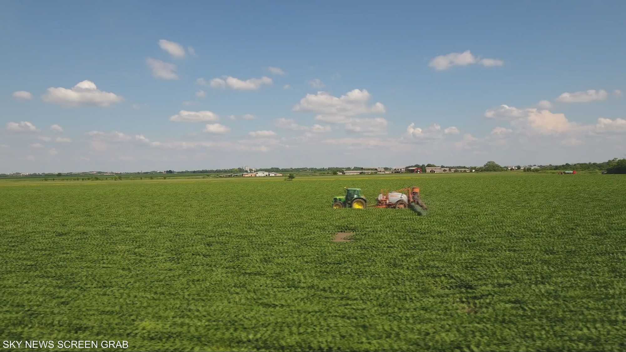 الاستدامة.. نحو مستقبل أكثر تنافسية وابتكاراً