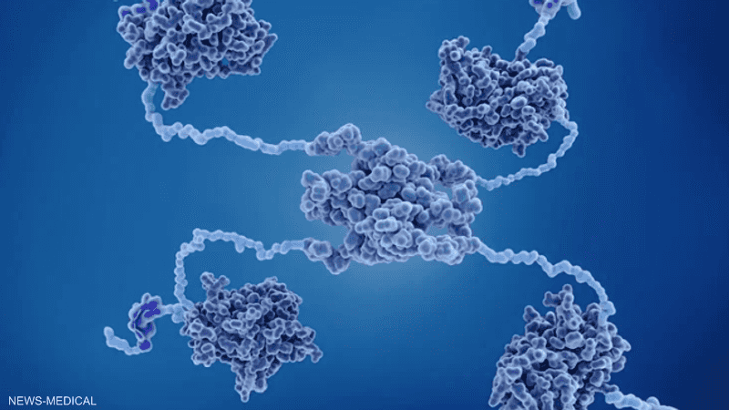 الطفرة أدت إلى تلف جين TP53، المسؤول عن حماية الخلايا
