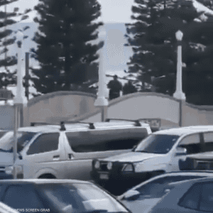 منفذو هجوم سيدني في فيديو متداول على مواقع التواصل