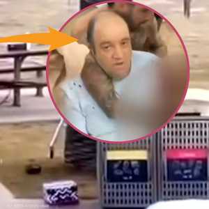 أحمد الأحمد ابن النيرب وبطل أستراليا