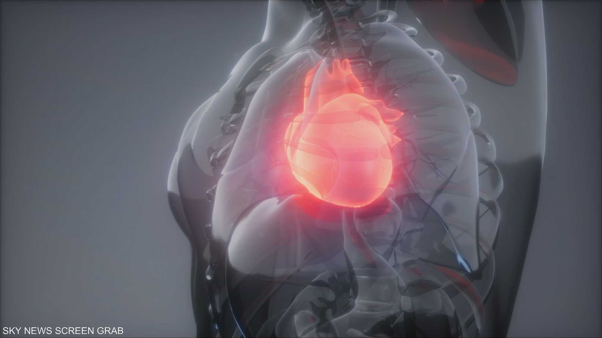 عادات يومية تحمي القلب من الخطر وتمنحك حياة أطول