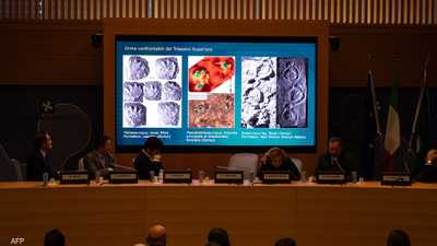 "الأكبر في العالم".. اكتشاف آثار لأقدام ديناصورات في إيطاليا