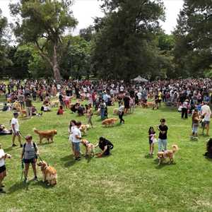 الدراسة تقدم تفسيرا لما كشفته دراسات سابقة