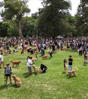 الدراسة تقدم تفسيرا لما كشفته دراسات سابقة