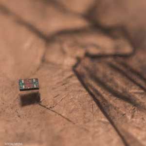 الروبوت يعد الأصغر من حبة ملح