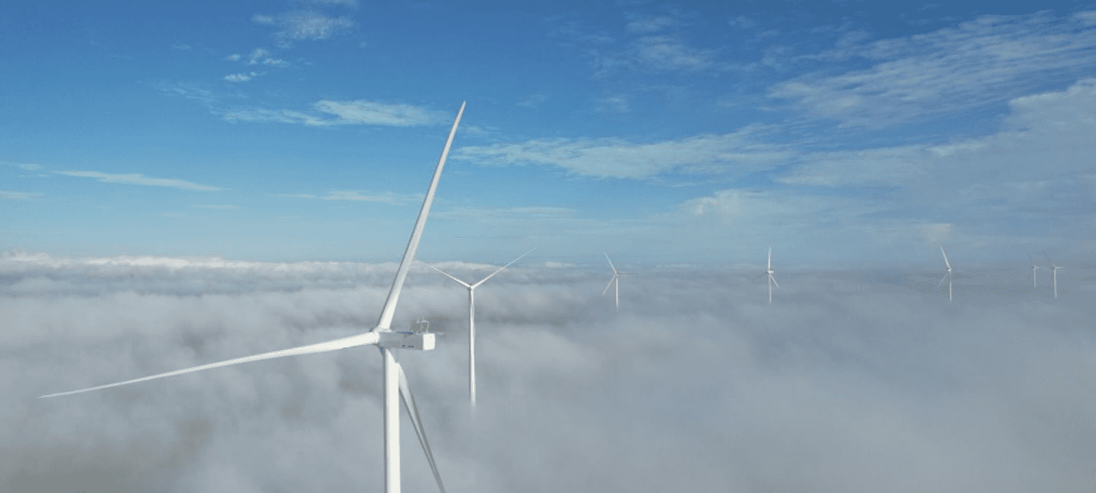 الشراكة تأتي في إطار الاستثمار بقطاع الطاقة المتجددة