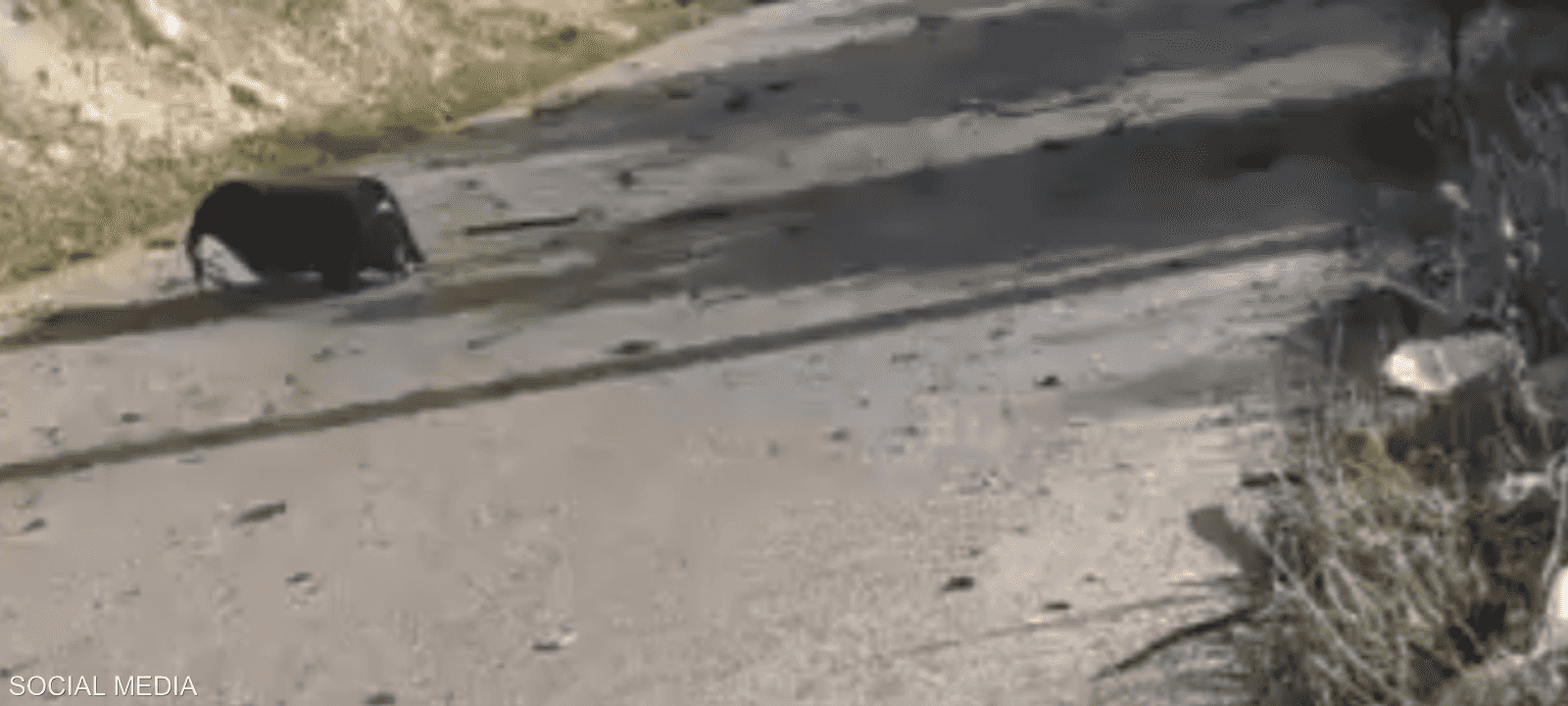 من موقع الحادث