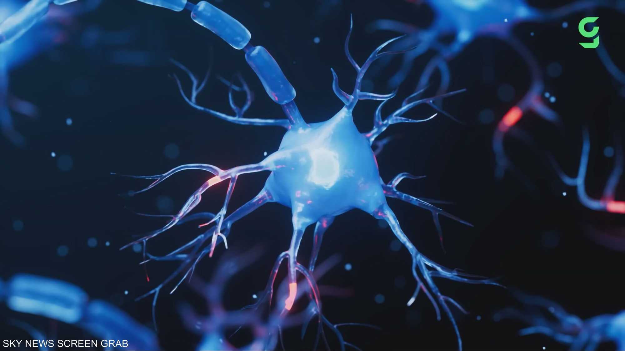 حصاد 2025 الطبي