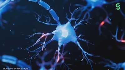 حصاد 2025 الطبي