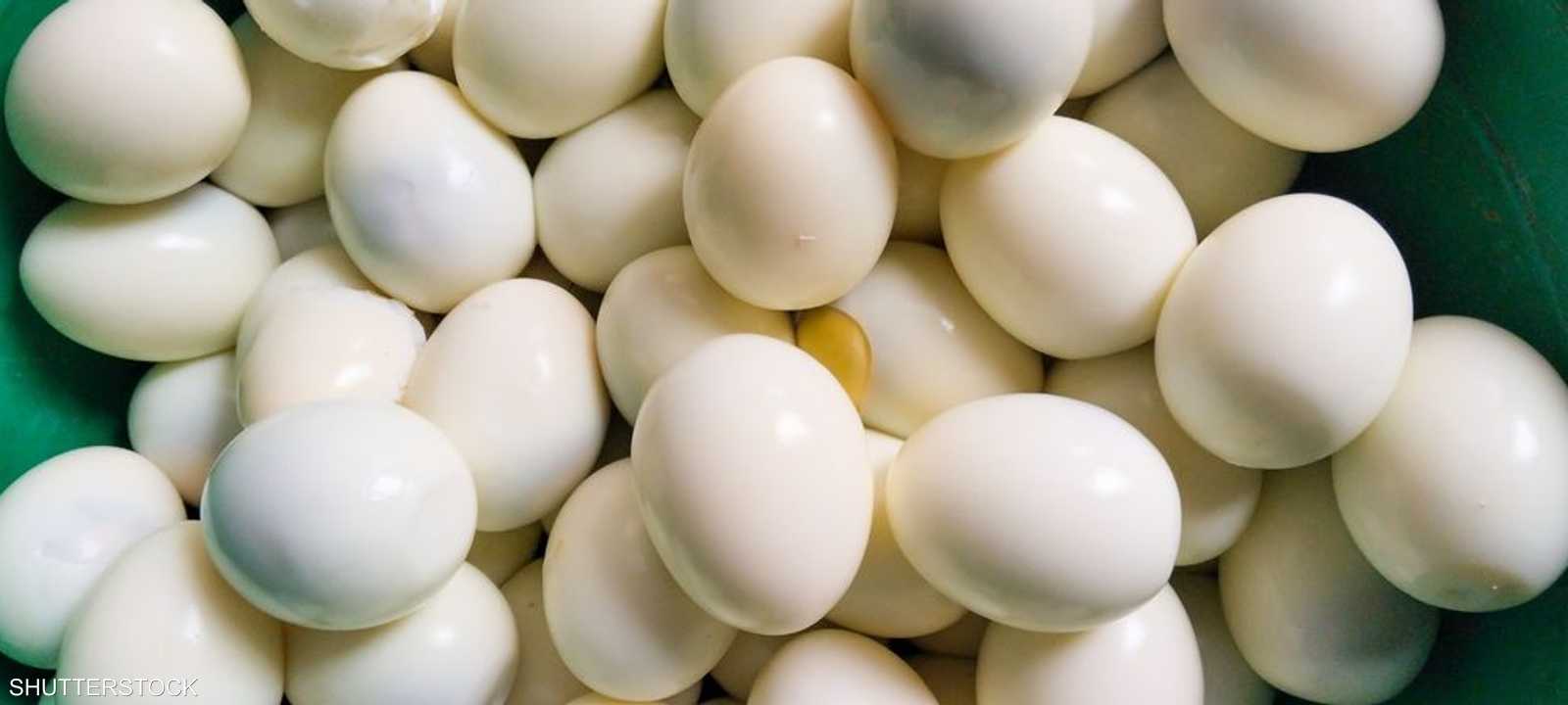 يعد البيض من أكثر الأطعمة الغنية بالعناصر الغذائية