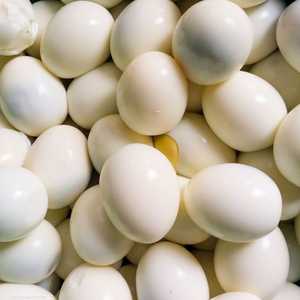 يعد البيض من أكثر الأطعمة الغنية بالعناصر الغذائية