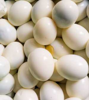 يعد البيض من أكثر الأطعمة الغنية بالعناصر الغذائية