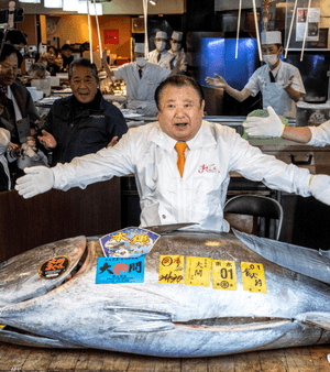 سمكة التونة