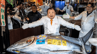 سمكة التونة